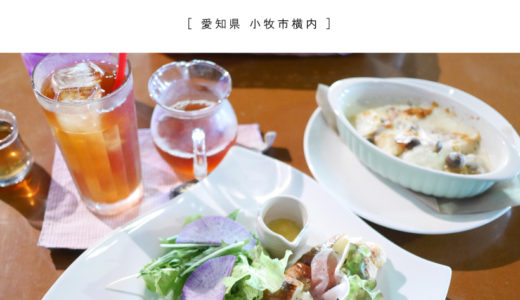 【小牧市】Tea house Sima さすが紅茶専門店！「本日のグラタン+サンドイッチのランチが豪華で美味しい」ログハウス・アフタヌーンティー