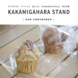 【各務原市】KAKAMIGAHARA STAND（カカミガハラスタンド）「蒸しパンテイクアウト（マロン・さつまいも・チョコ）」in学びの森