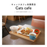 【各務原市】Cats cafe（キャッツカフェ）「ビックパフェとオムライスが人気！定食メニューも豊富で夜カフェ利用がおすすめ！」広々・デート・ファミリー