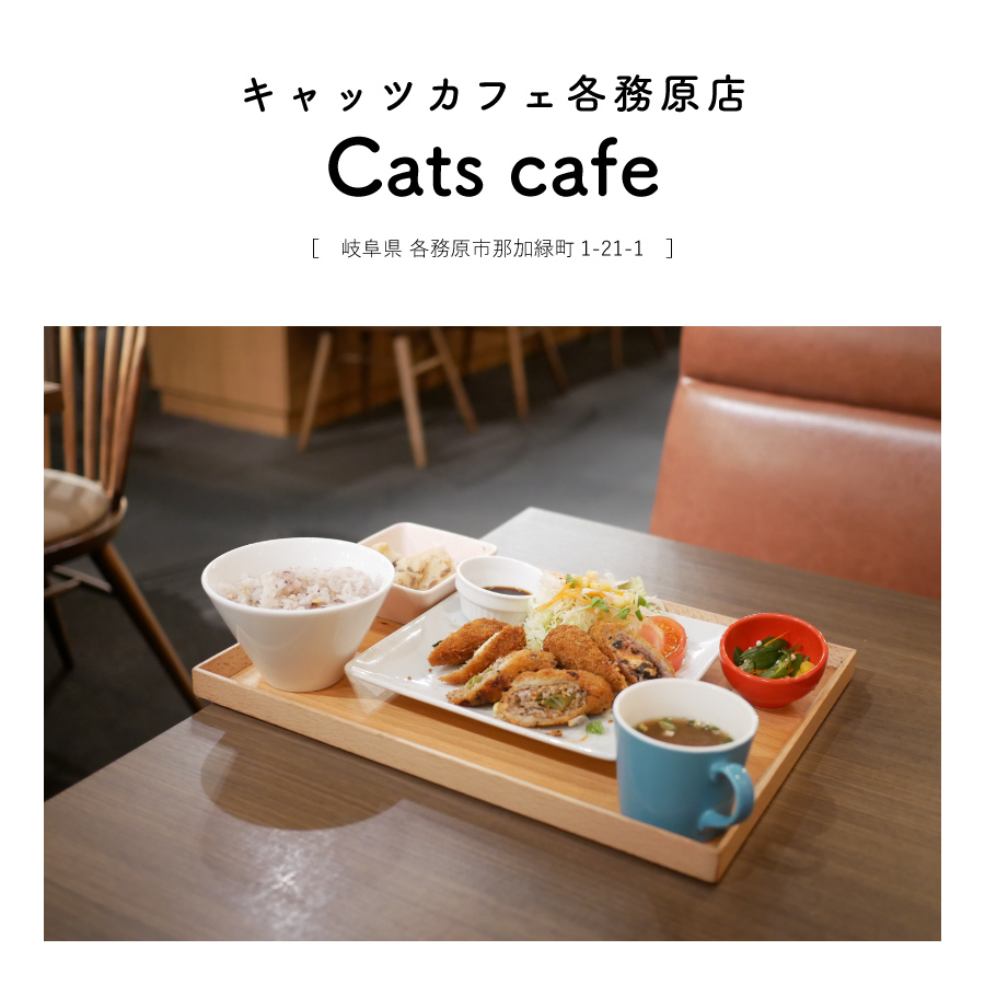 【岐阜県各務原市】Cats cafe（キャッツカフェ）夜カフェ 定食 ごはん