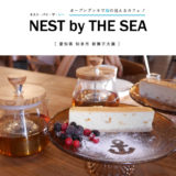 【知多市】NESTbyTHESEA（ネストバイザシー）海の見えるカフェ！オープンデッキとフォトジェニックスポットでチーズケーキと紅茶をいただく。