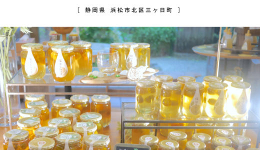 【浜松市】長坂養蜂場・はちみつの試食OK♪美味しいはちみつソフトも人気！2019年7月更新