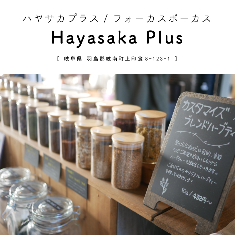 【岐阜県羽島郡岐南町】Hayasaka Plus （ハヤサカプラス）ハーブティー専門店 紅茶 TEA